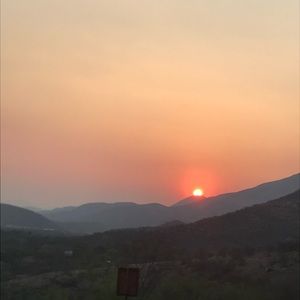 Meet your Posher, Sofia